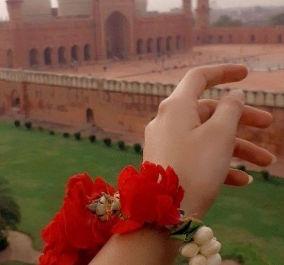 Haira Profile image 5